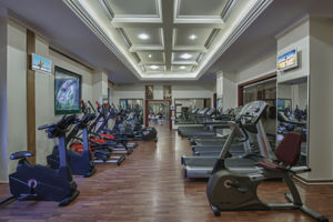 Qvor Kirman Premium