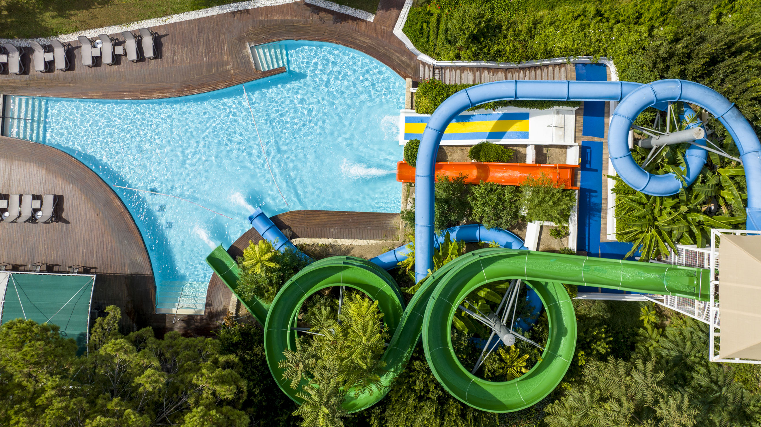 Concorde De Luxe - billede 2