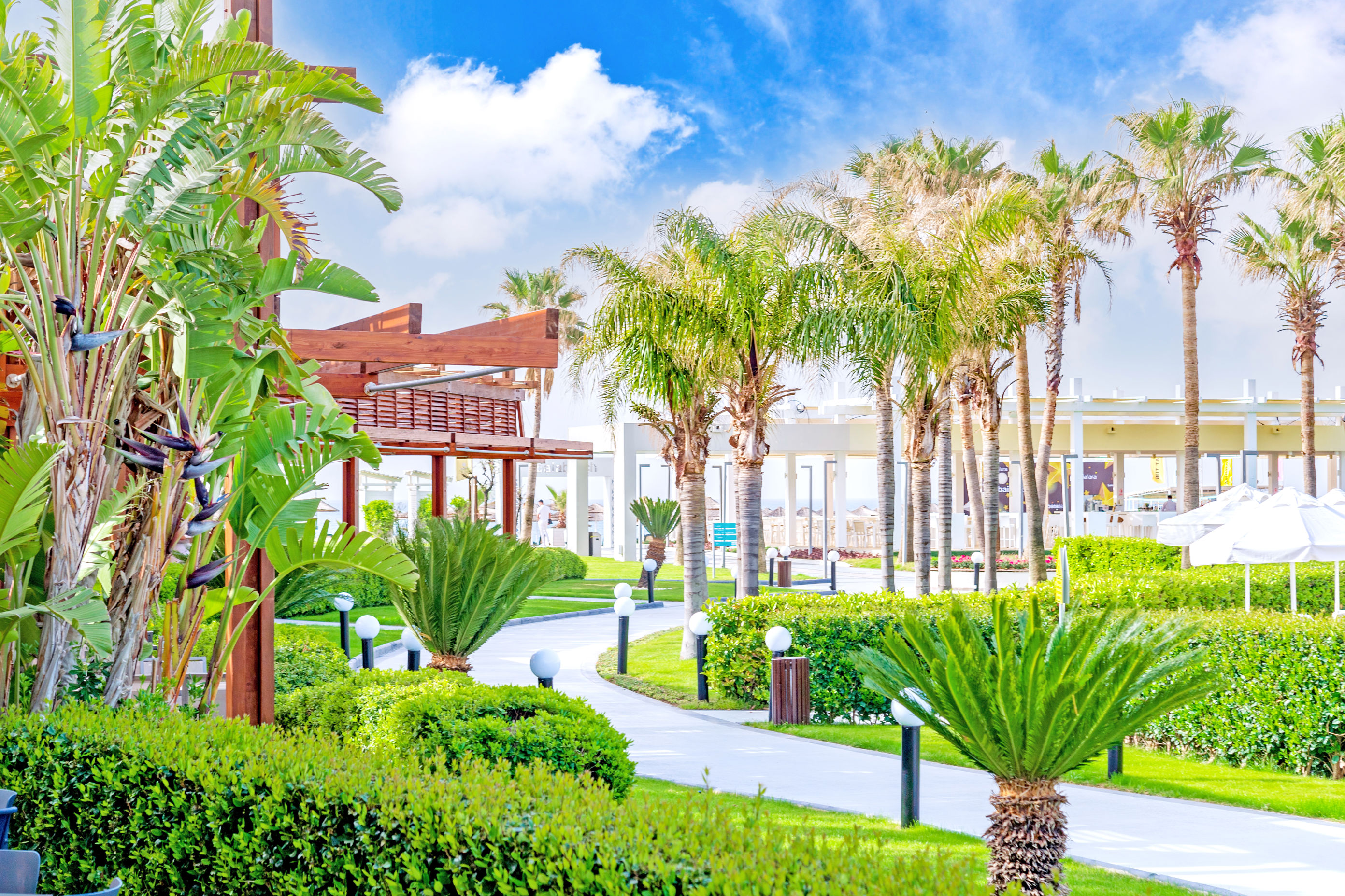 Baia Lara - billede 5