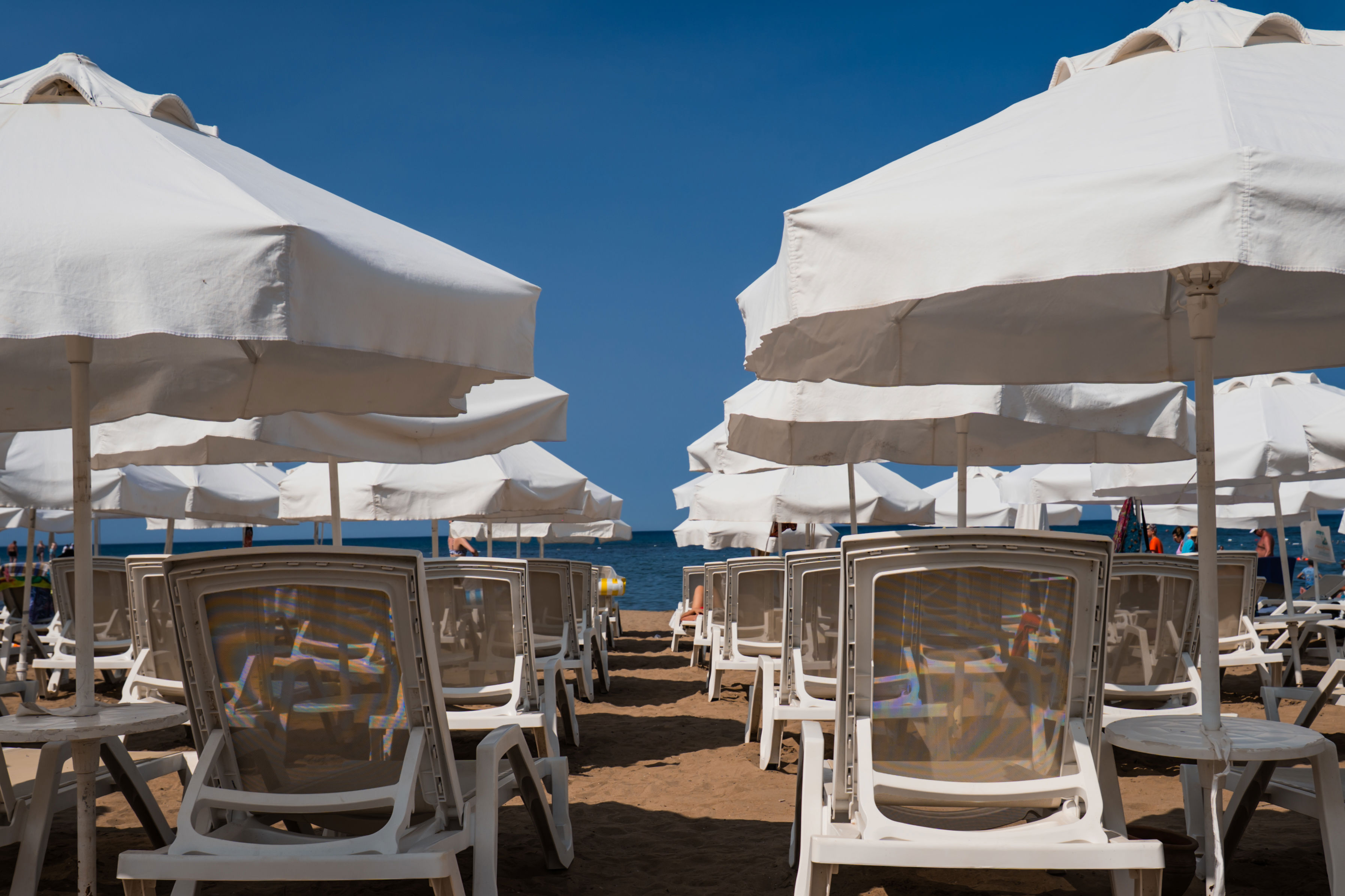 Merve Sun - billede 5