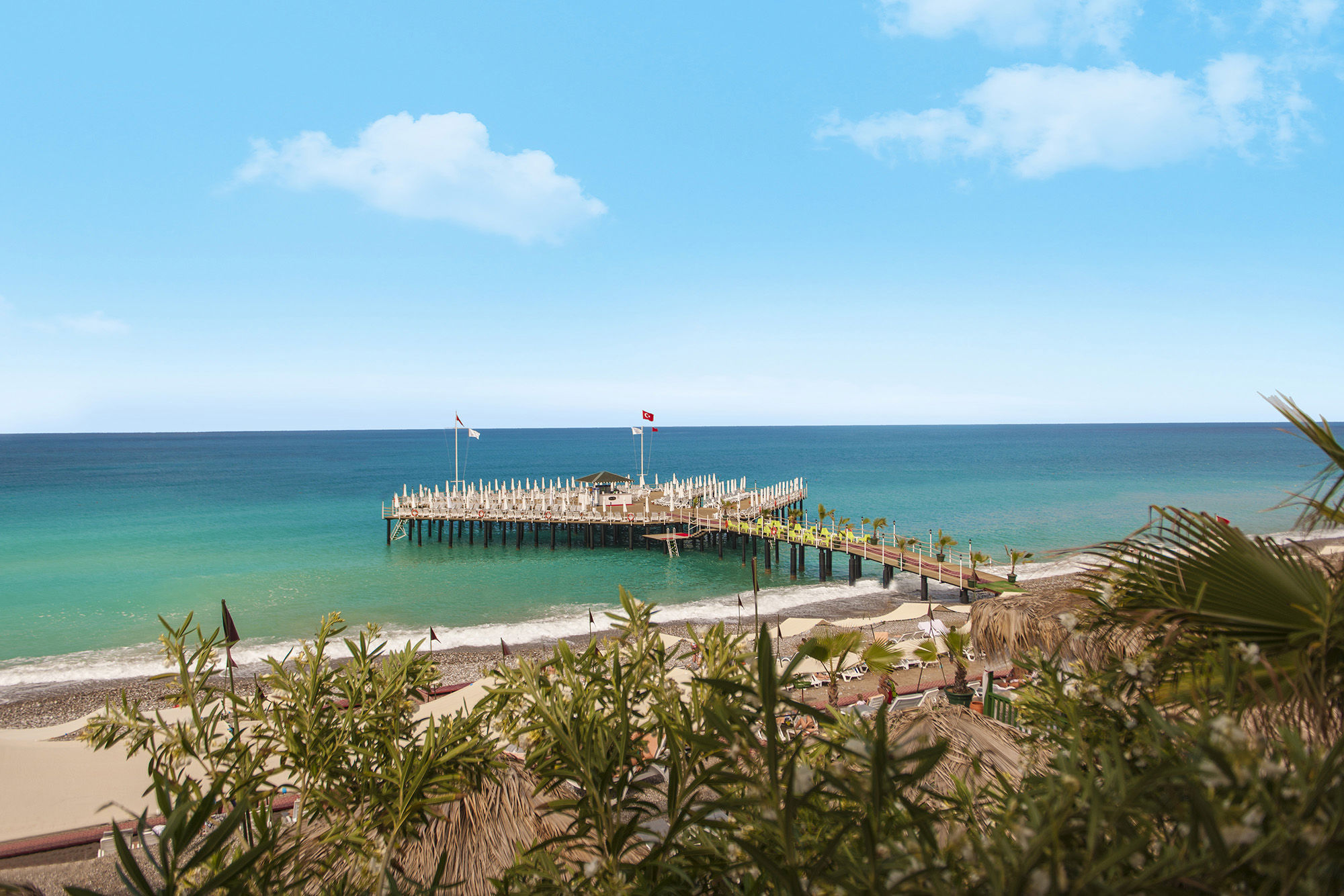 Delphin Botanik - billede 3