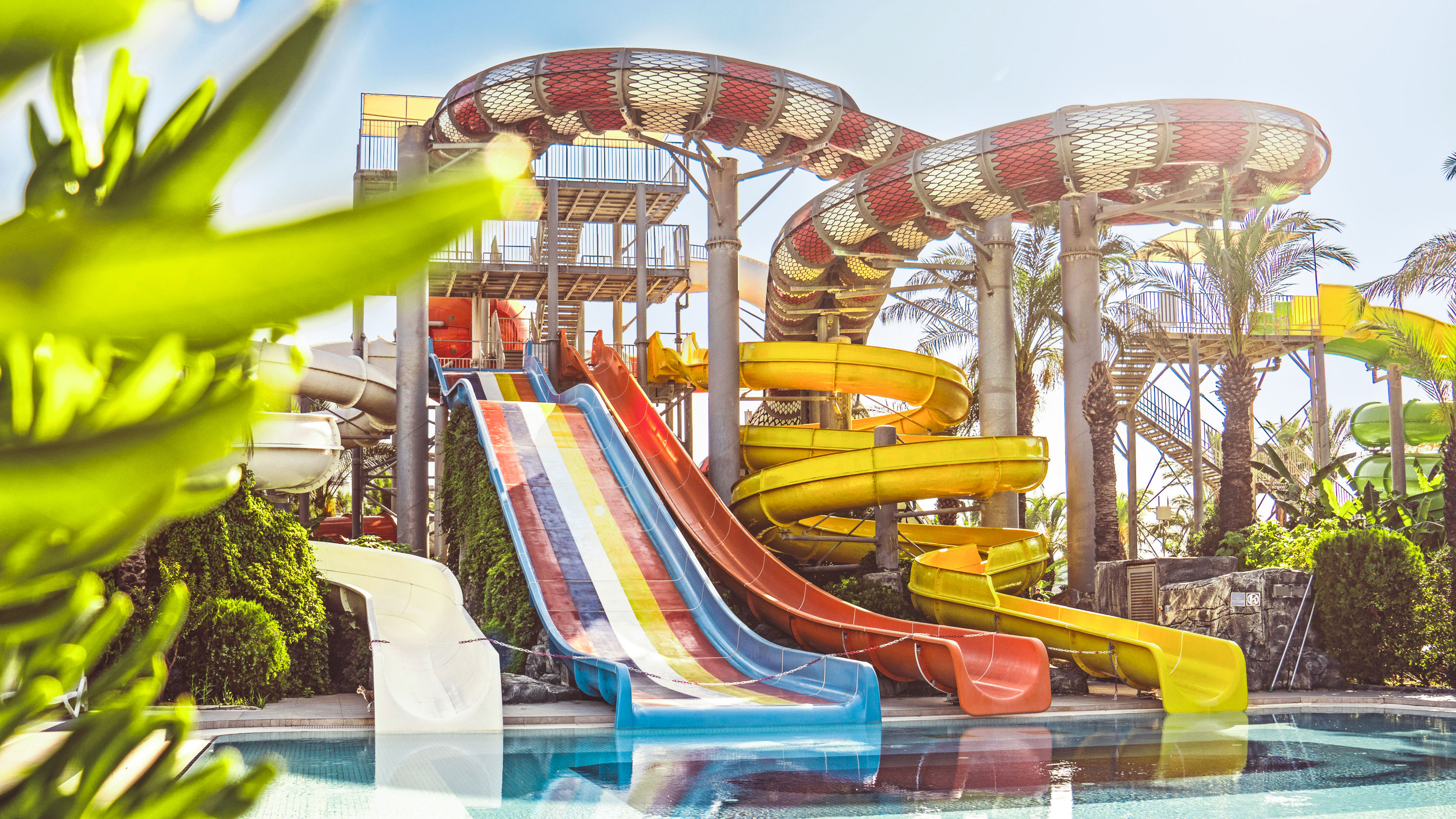 Royal Wings - billede 2