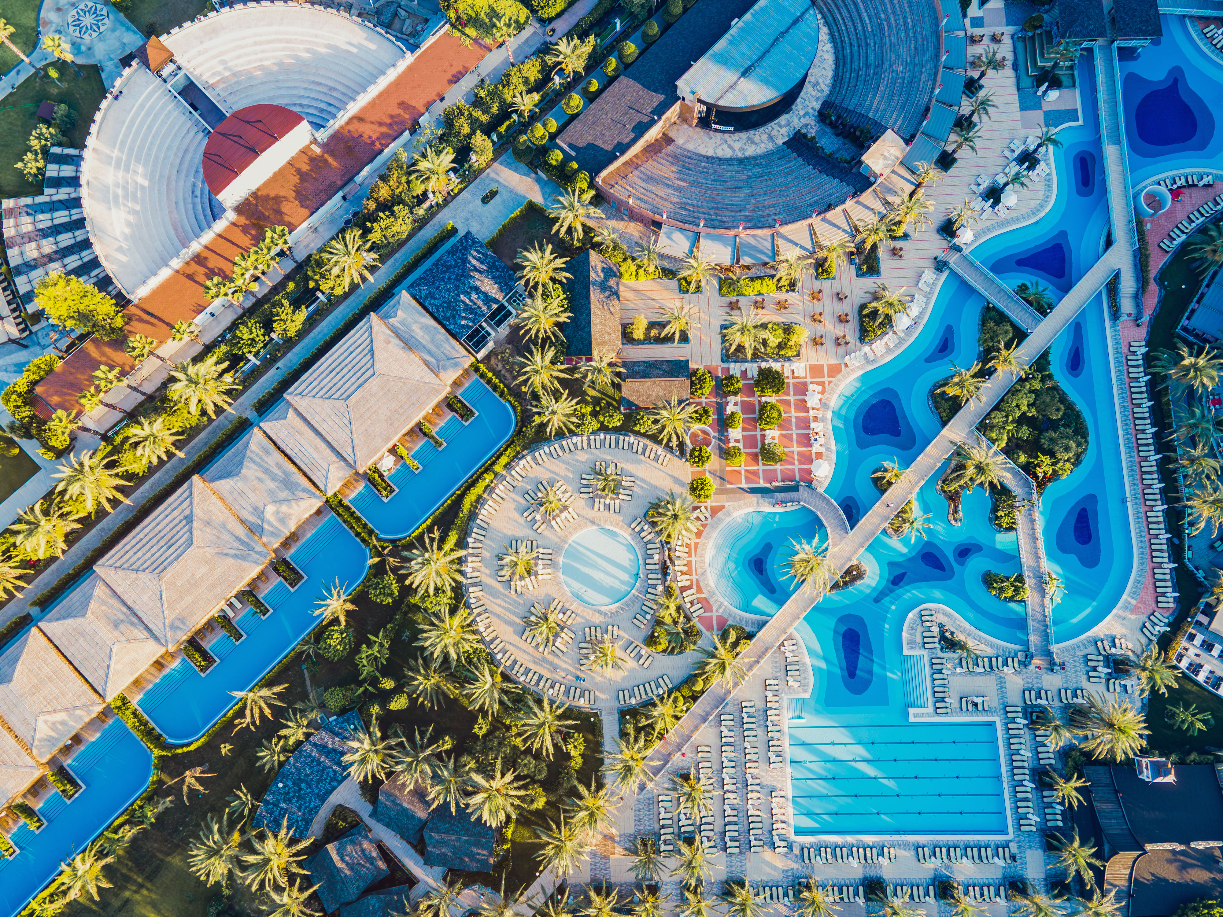 Royal Wings - billede 4