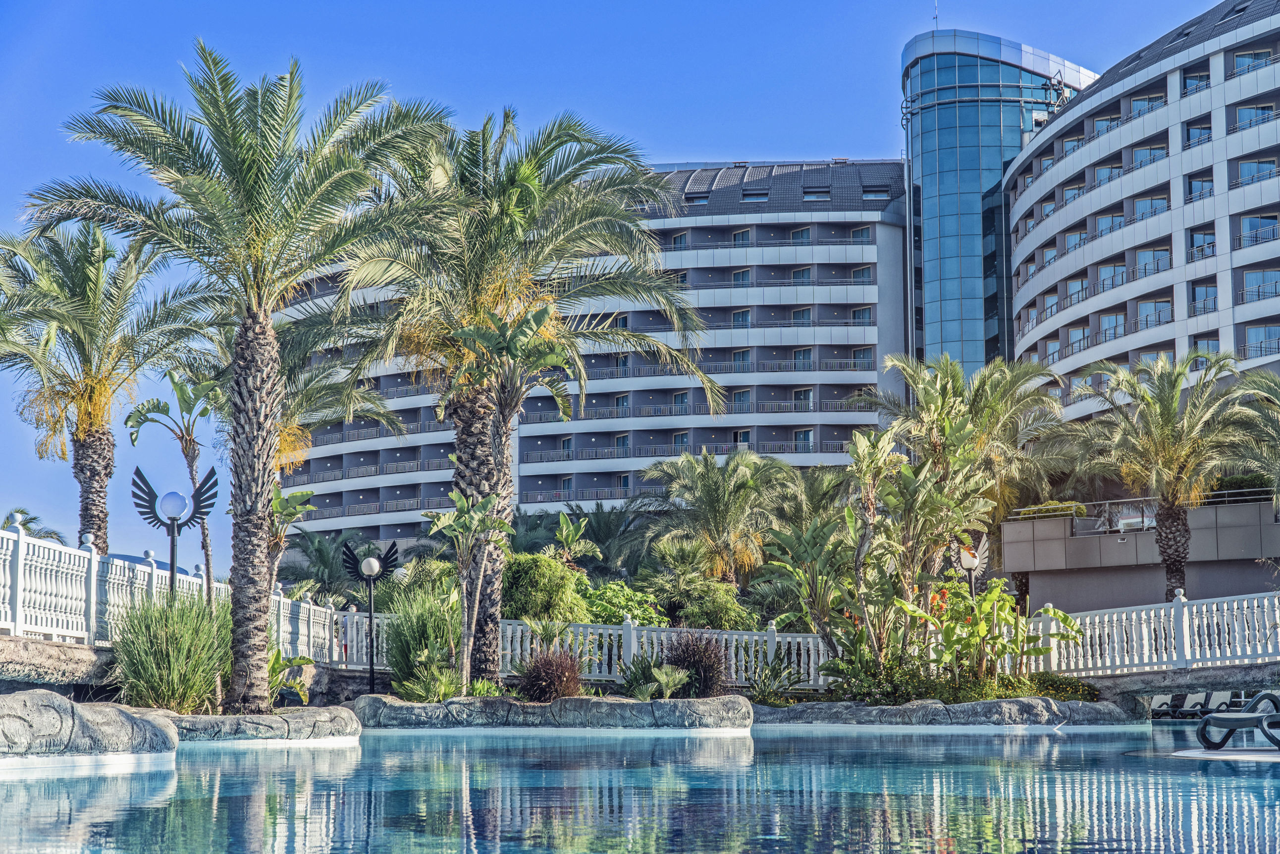 Royal Wings - billede 5