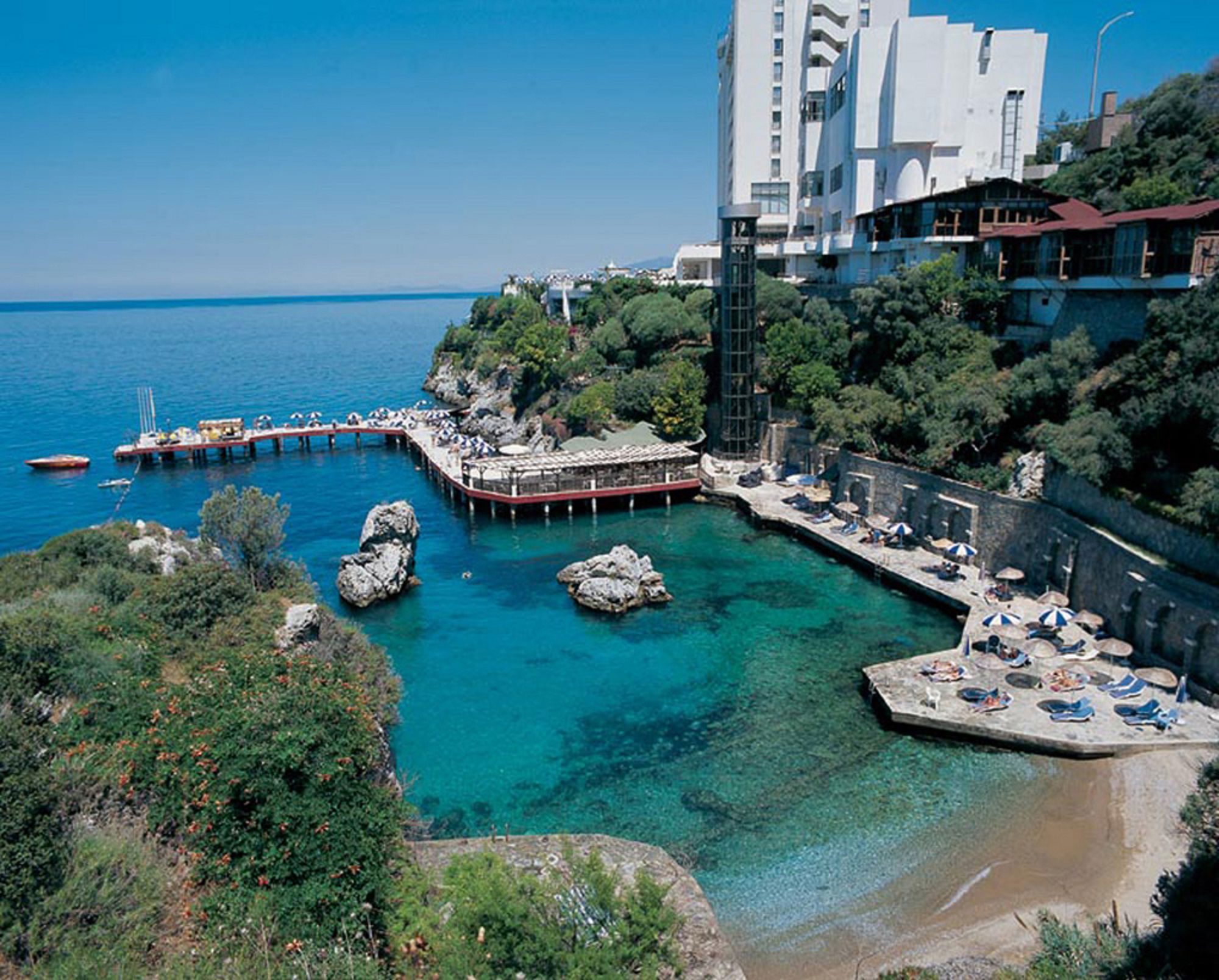 Korumar Deluxe - billede 5