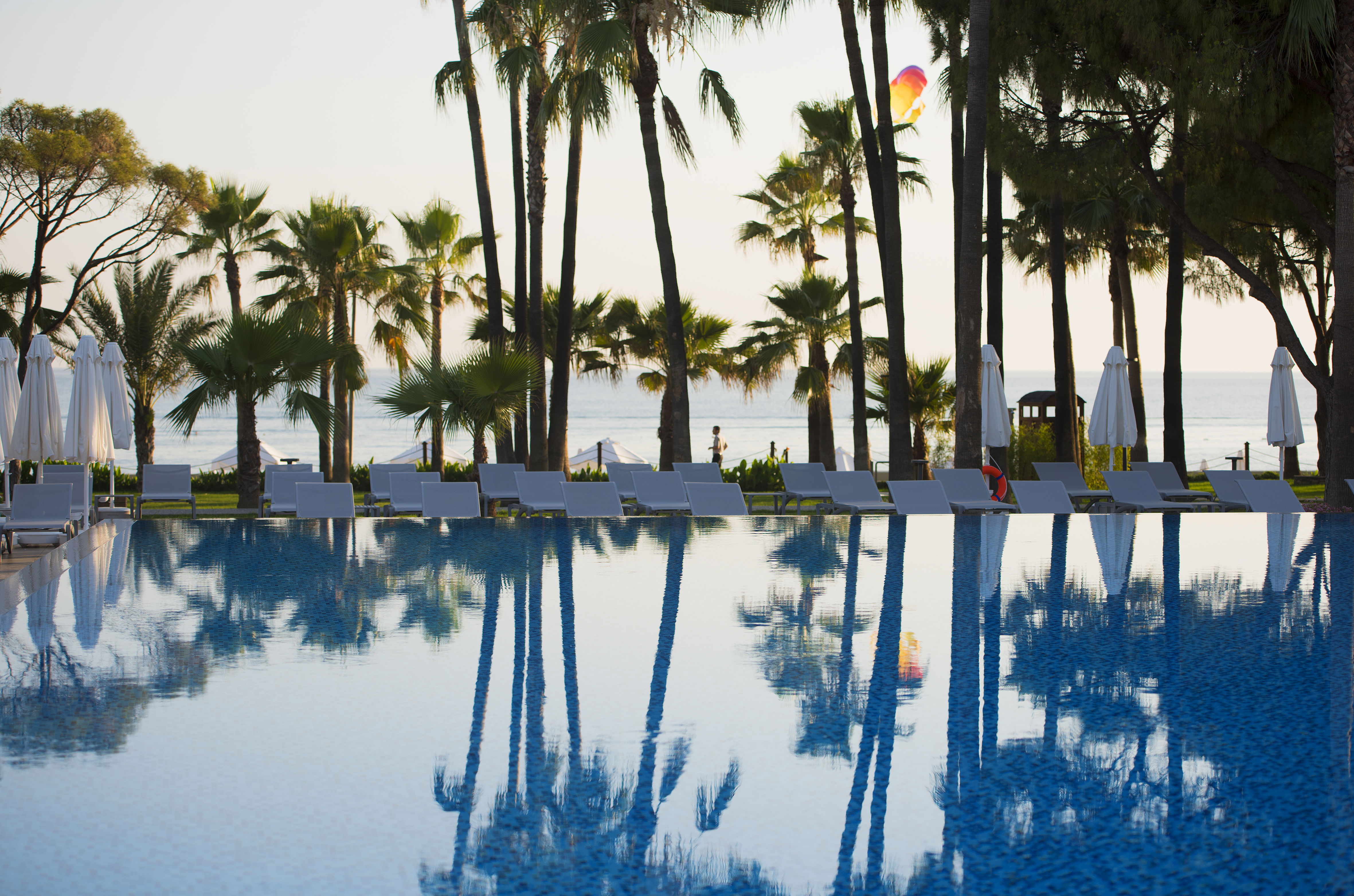 Barut Acanthus & Cennet - billede 3