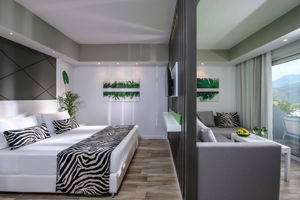 woonvoorbeeld standaardkamer zebra room