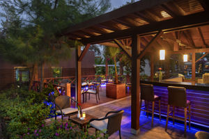 Begonville bar