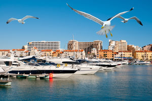 Bingo Algarve 4*