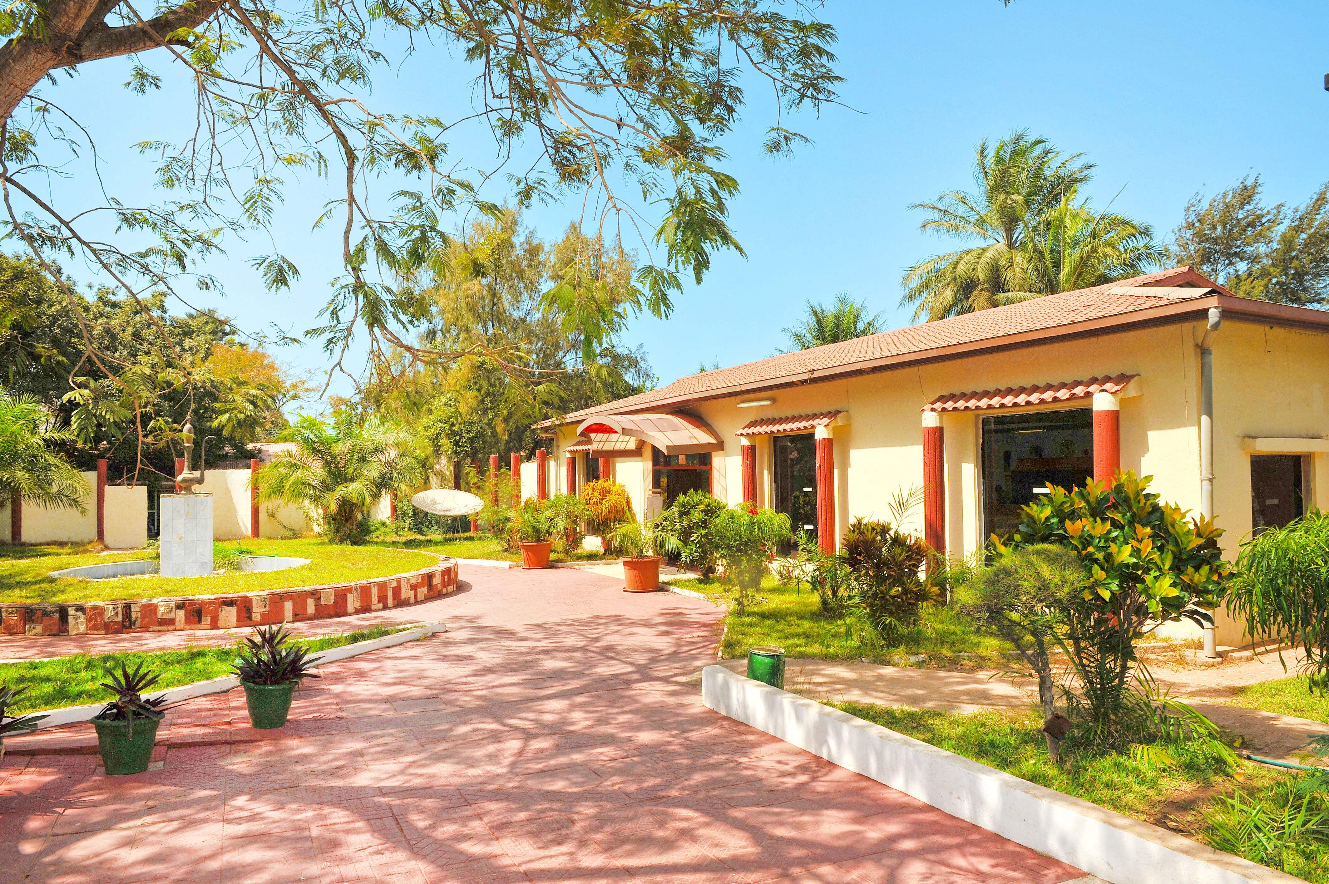Palma Rima