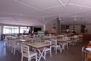 Palma Rima