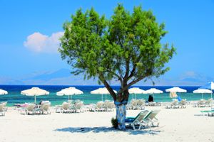 Bingo Kos Appartementen