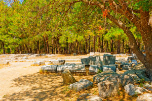 Bingo Kos Appartementen