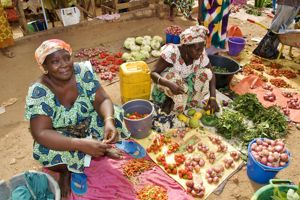 Excursiereis Gambia 3*