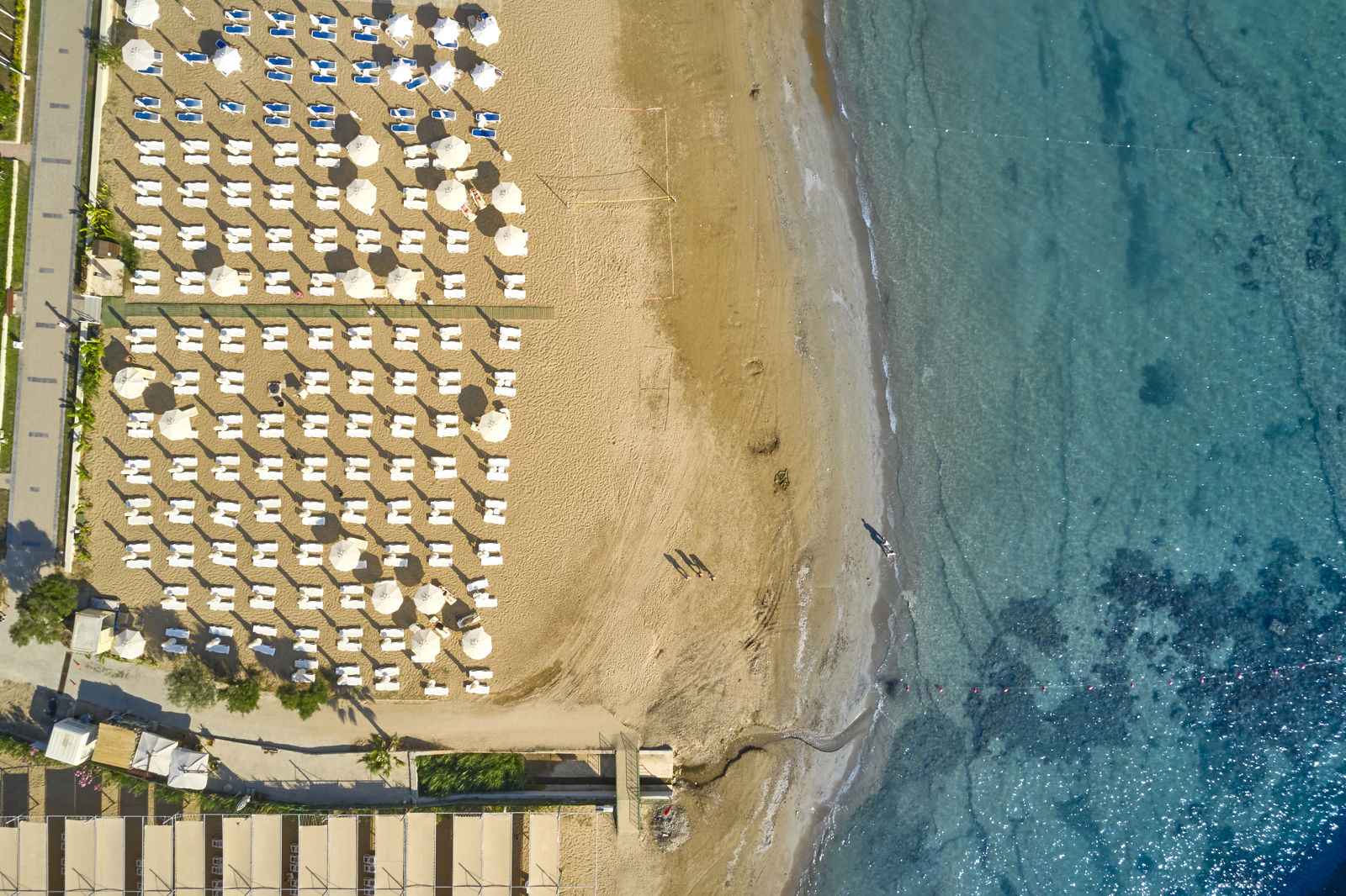 Seaden Corolla billede 2