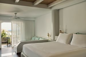 Woonvoorbeeld Superiorkamer Landzicht met prive zwembad (Summer)