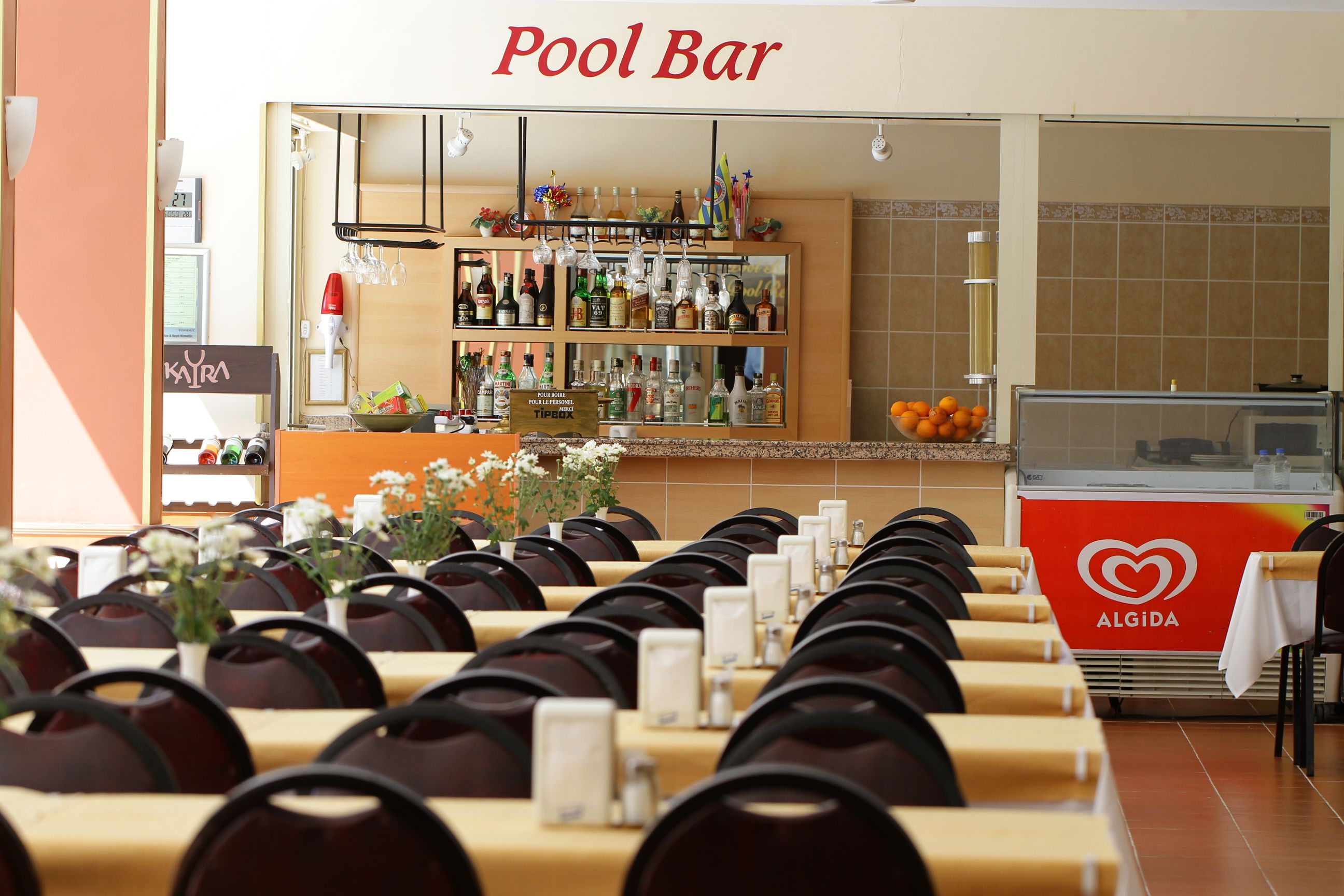 Palm Hotel