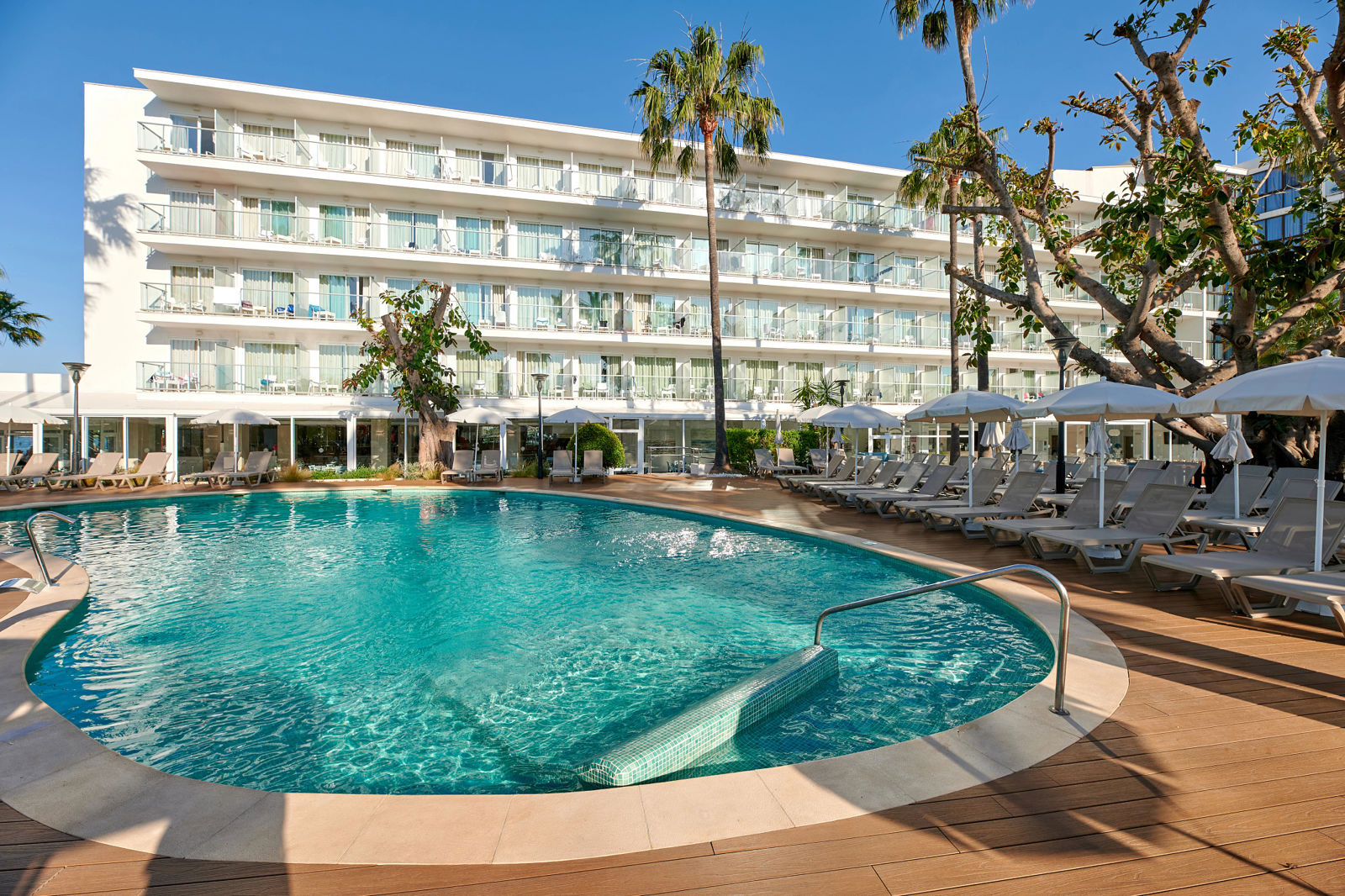 Alua Boccaccio - hovedbillede