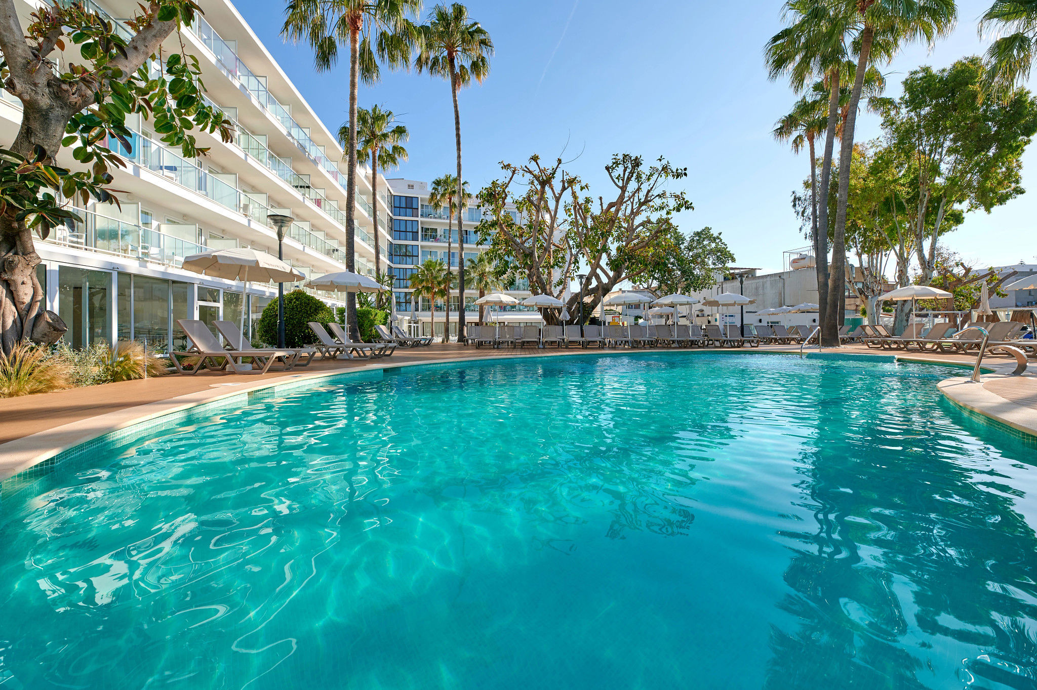 Alua Boccaccio - billede 4