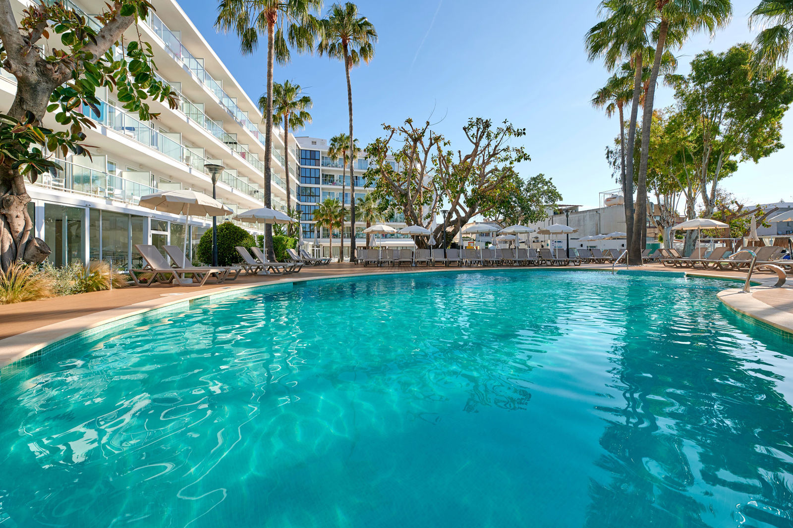 Alua Boccaccio billede 4