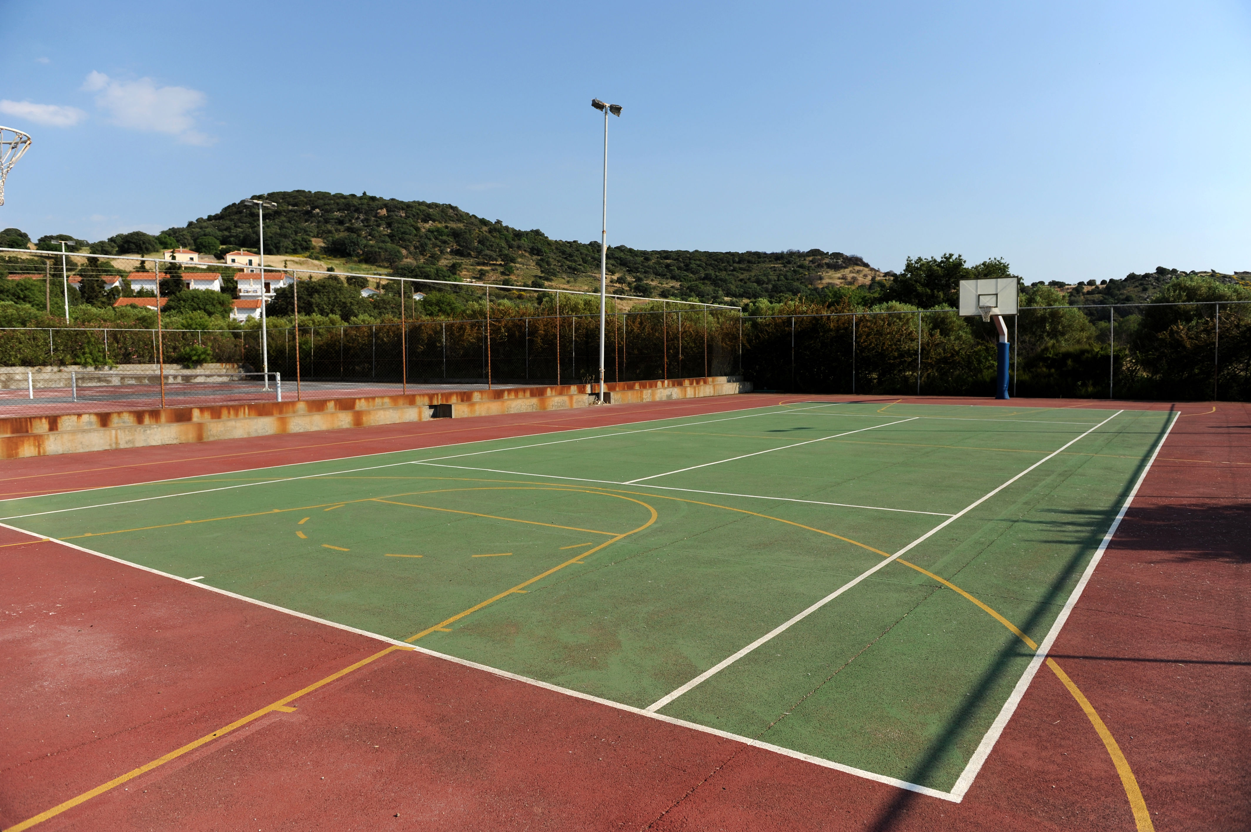 Delfinia