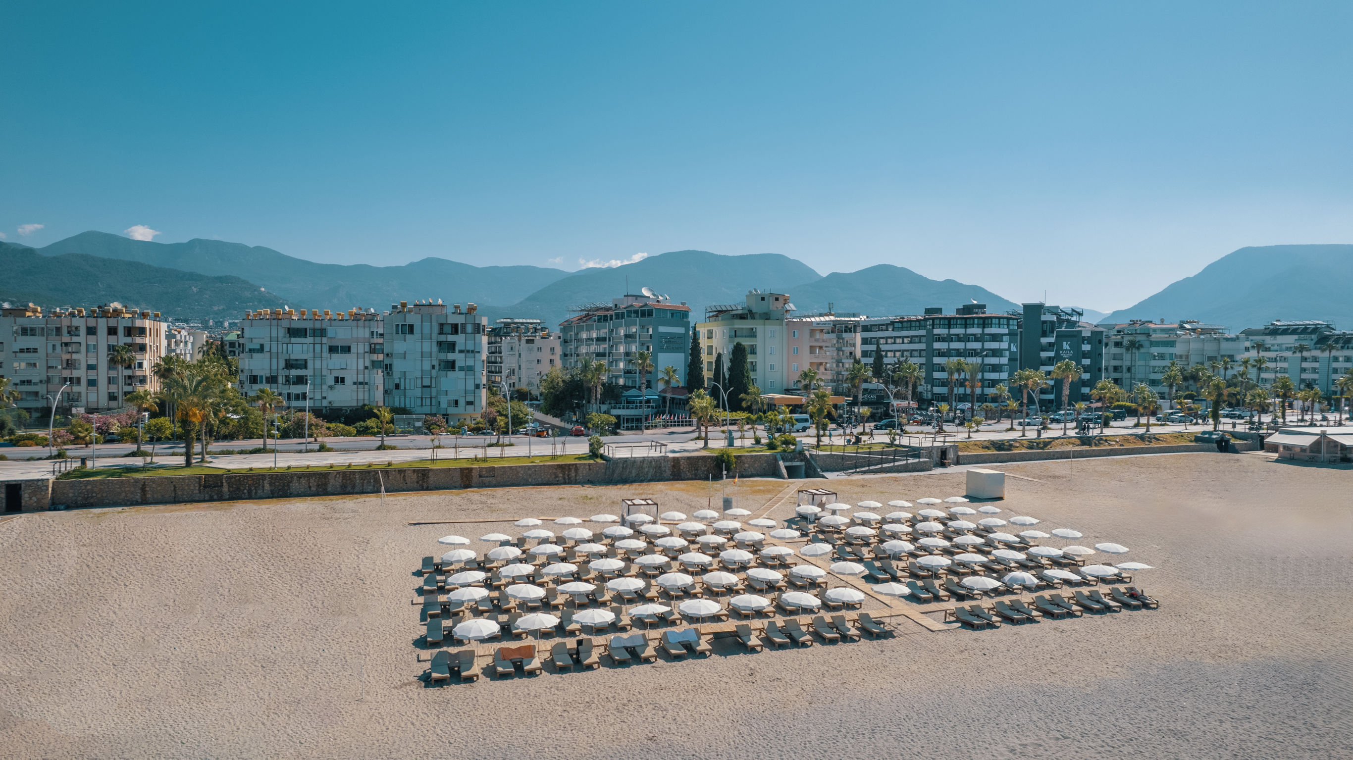 Blue Diamond Alya - billede 3