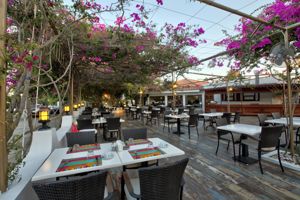 Merit Cyprus Garden