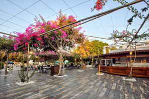 Merit Cyprus Garden