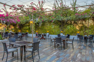 Merit Cyprus Garden