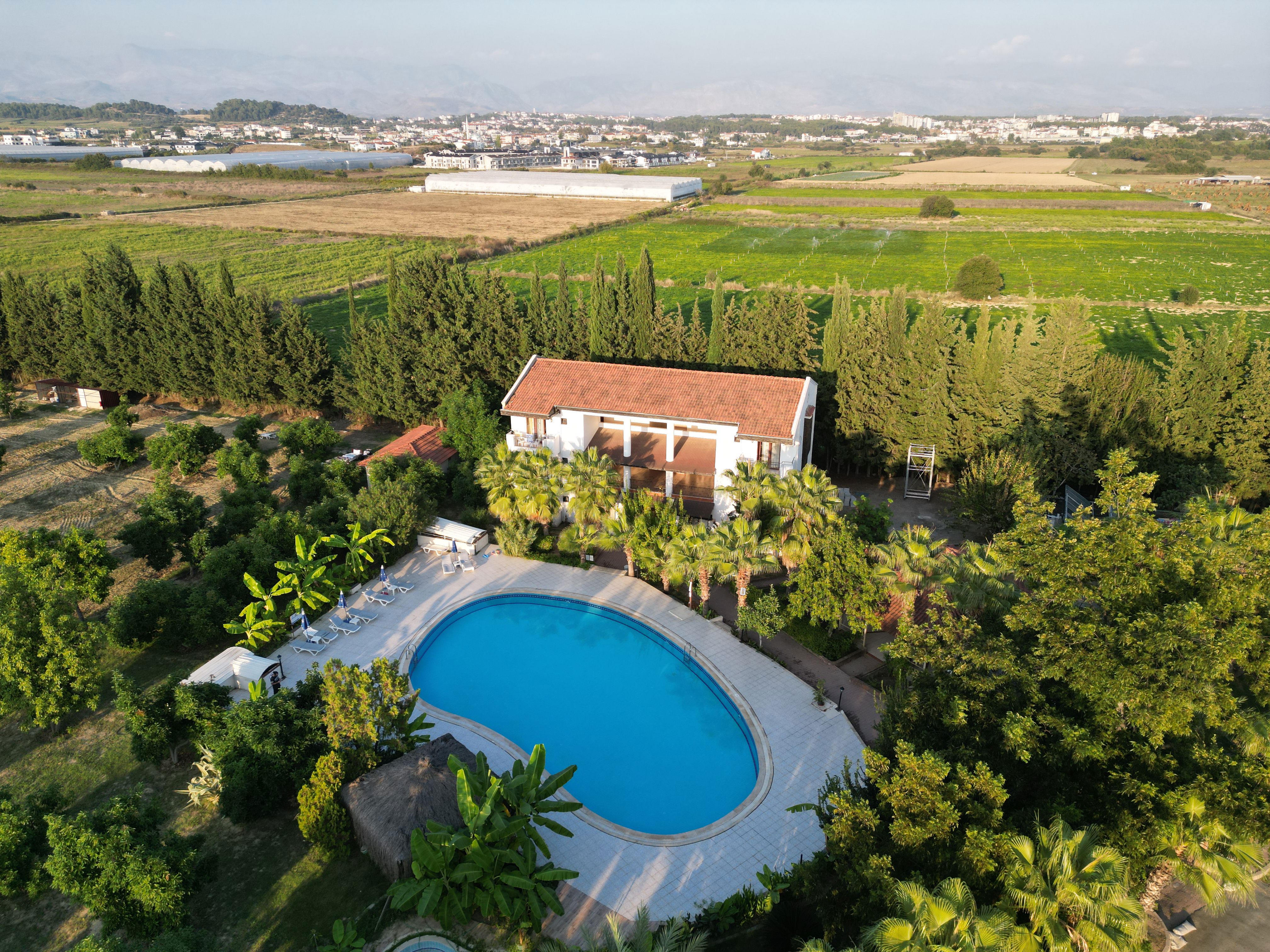 Lemas Suite Hotel - billede 3