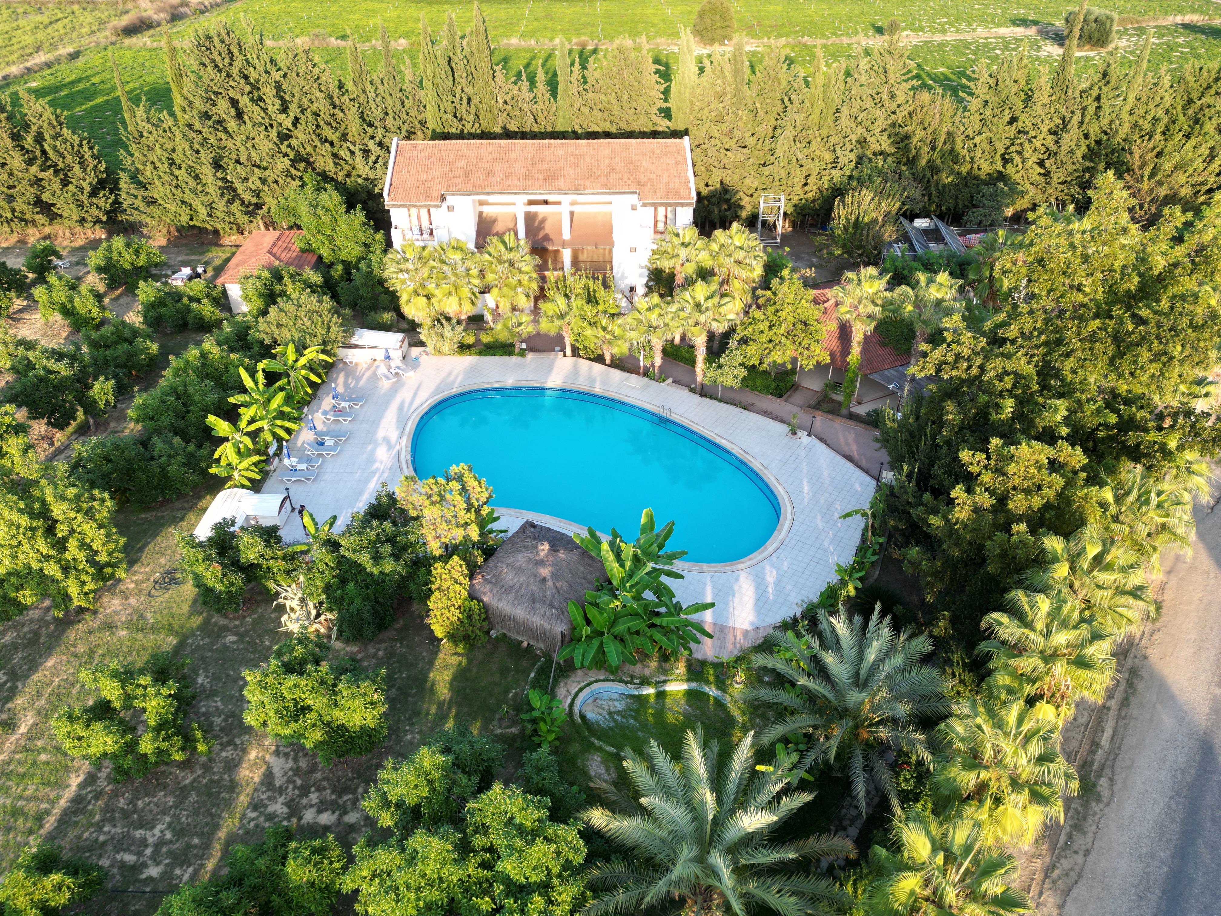 Lemas Suite Hotel - billede 4