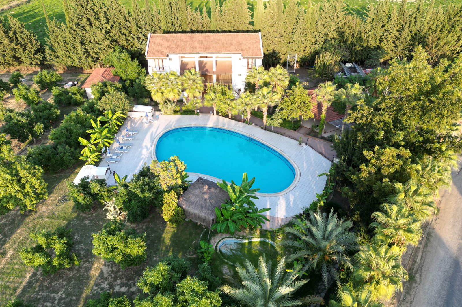 Lemas Suite Hotel billede 4
