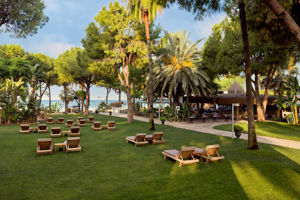 Kumsal Bar