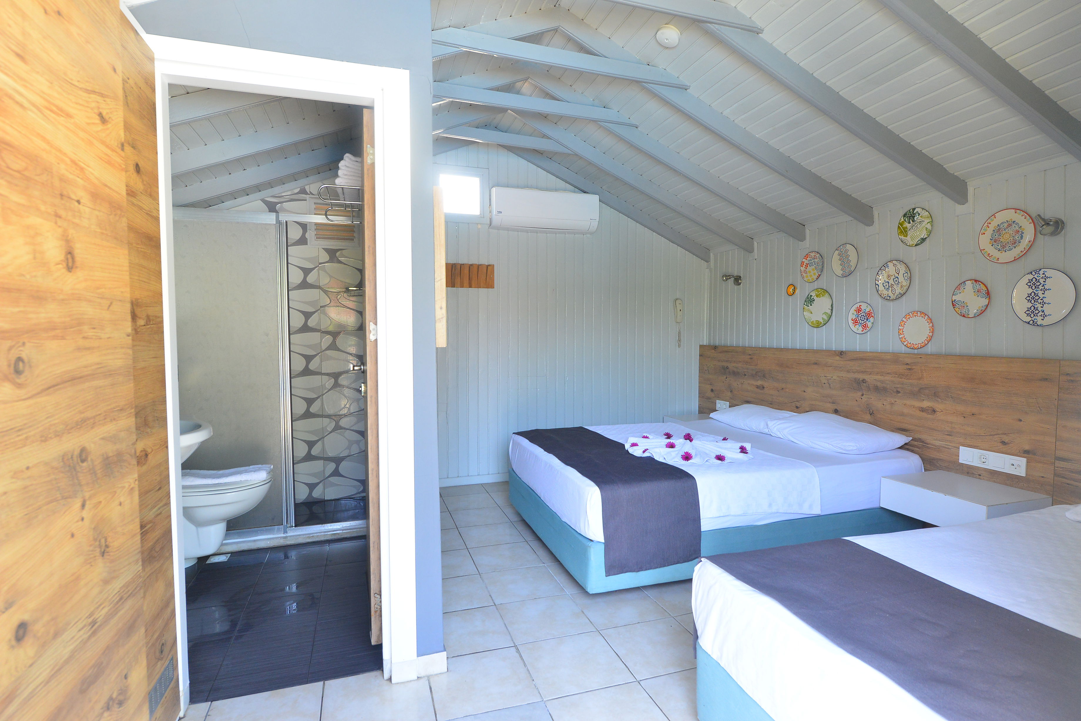 Leda Beach - billede 5