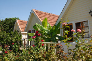 Nova Beach Bungalows