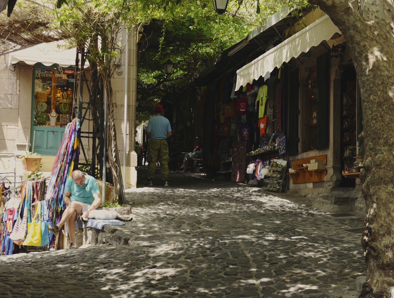 Excursiereis Lesbos