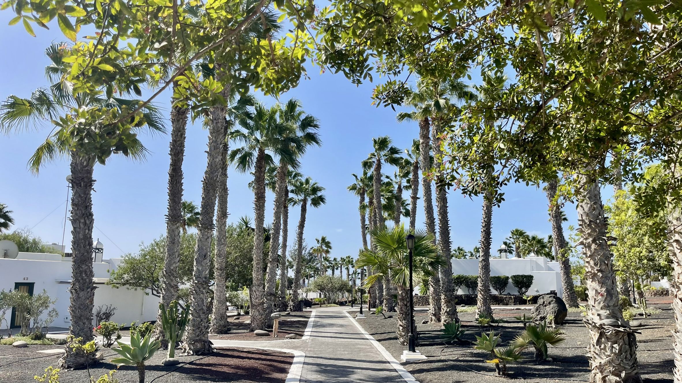 Palmeras Garden