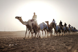 Bingo Dubai 4*