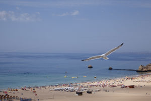 Algarve Mor