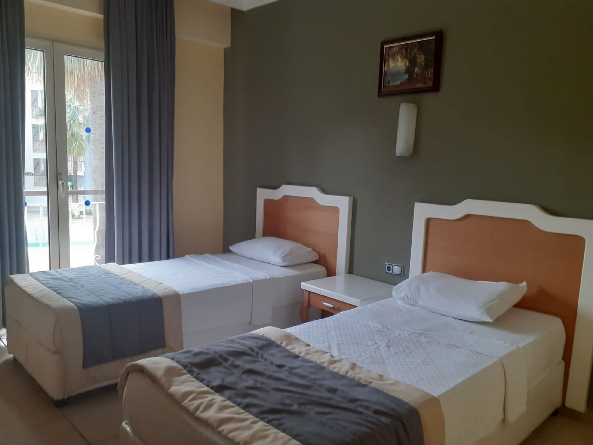 Alenz Suite