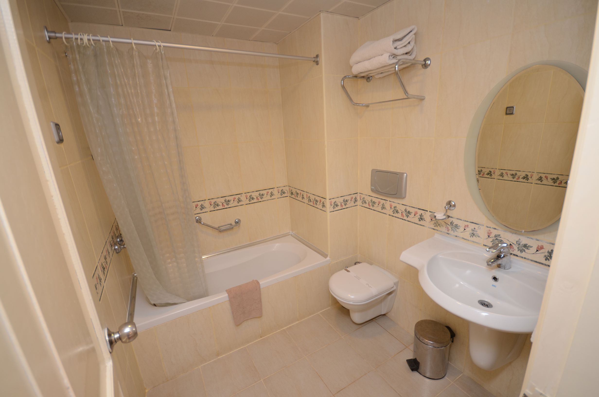 Alenz Suite