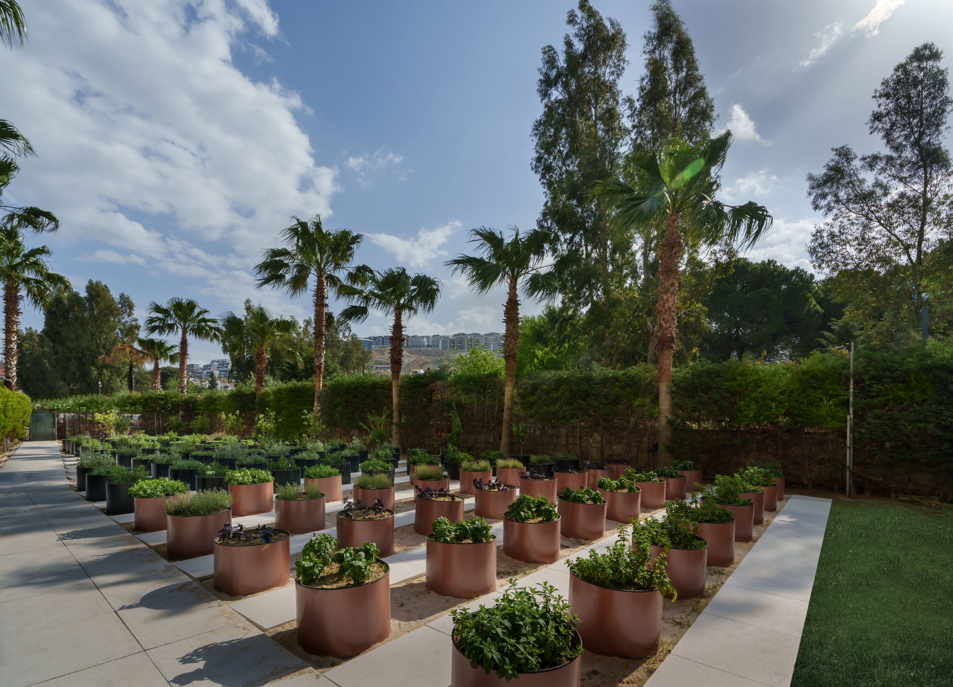 Liberty Kusadasi - billede 4