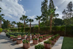 Liberty Kusadasi
