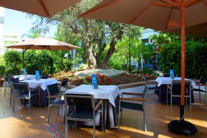 Pyr Marbella
