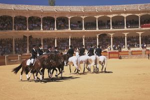Rondreis Klassiek Andalusie