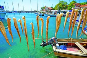 Bingo Lesbos Appartementen