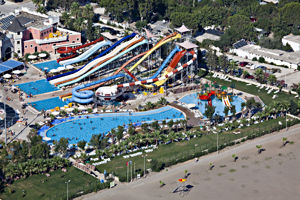 Klub Cactus Paradise