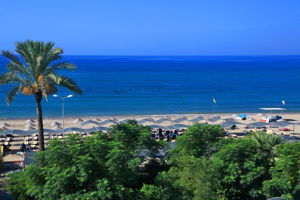 Klub Cactus Paradise