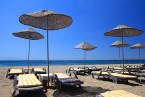 Klub Cactus Paradise