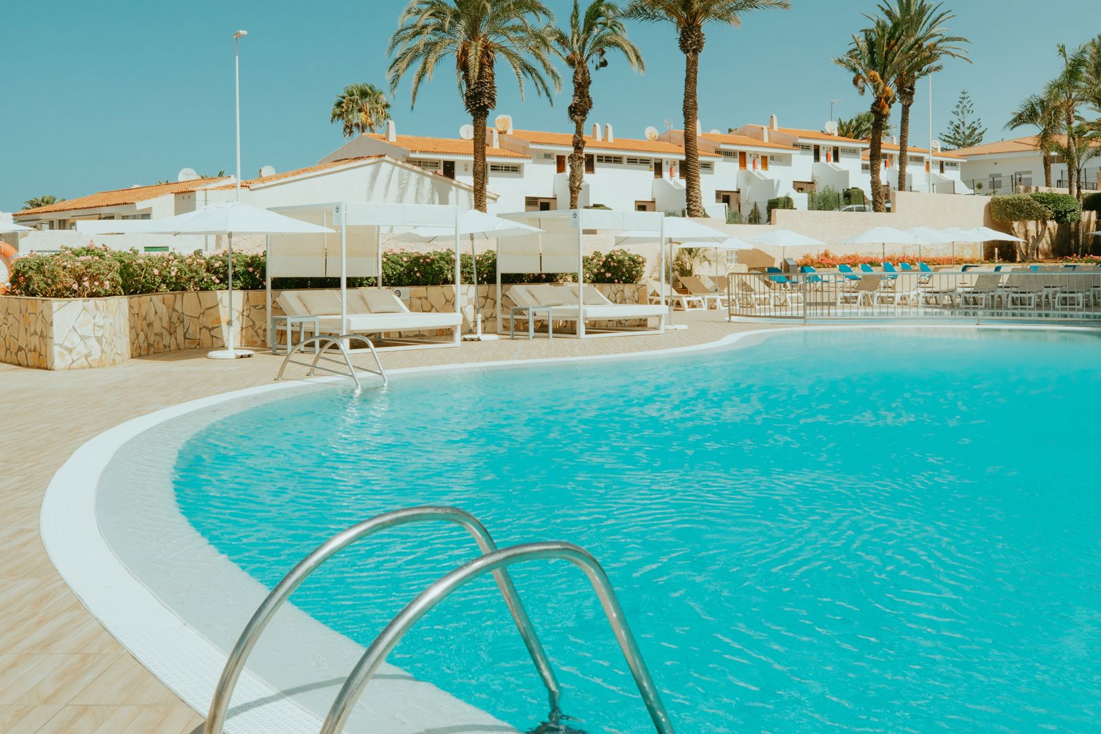 Ole Tenerife Tropical - billede 3